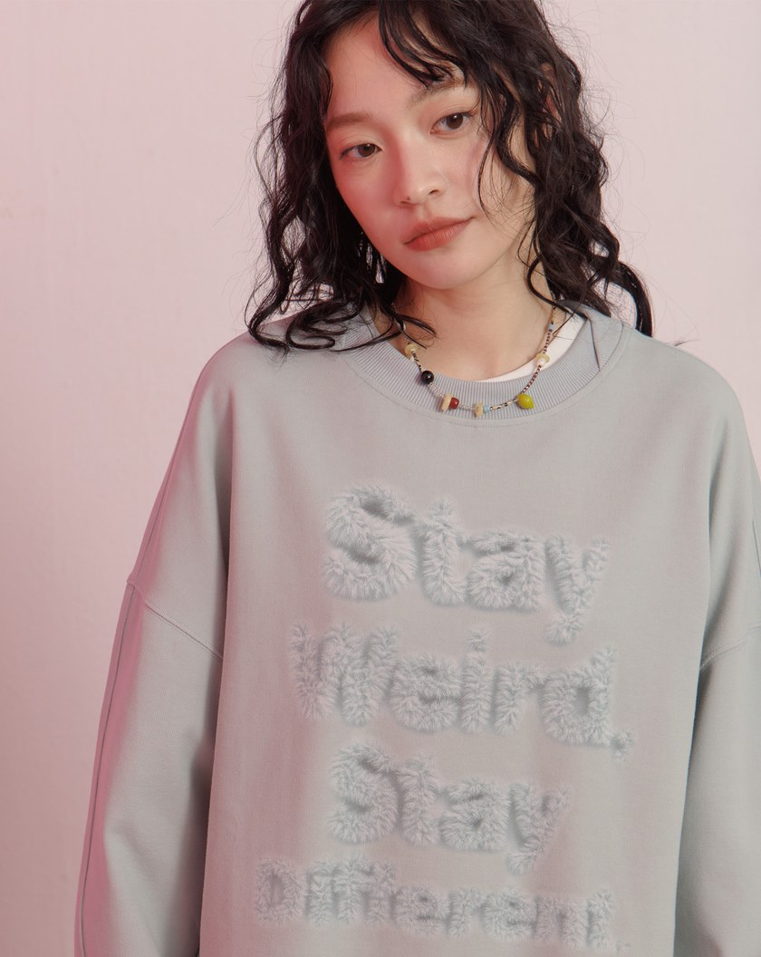 毛茸茸立體感印花寬鬆大學T(兩色)