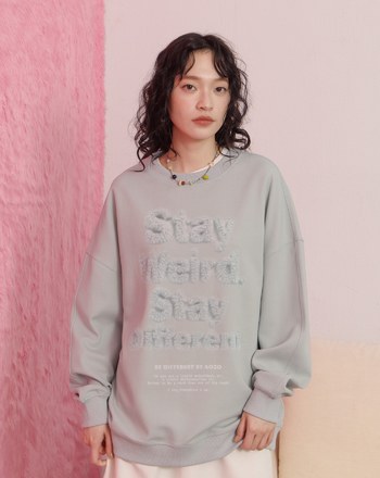 毛茸茸立體感印花寬鬆大學T(兩色)